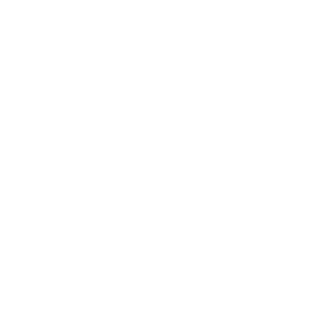Nextron Logo